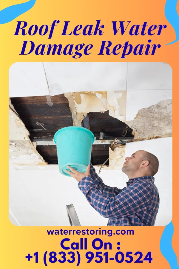 Roof Leak Water Damage Repair in Vardaman, MS